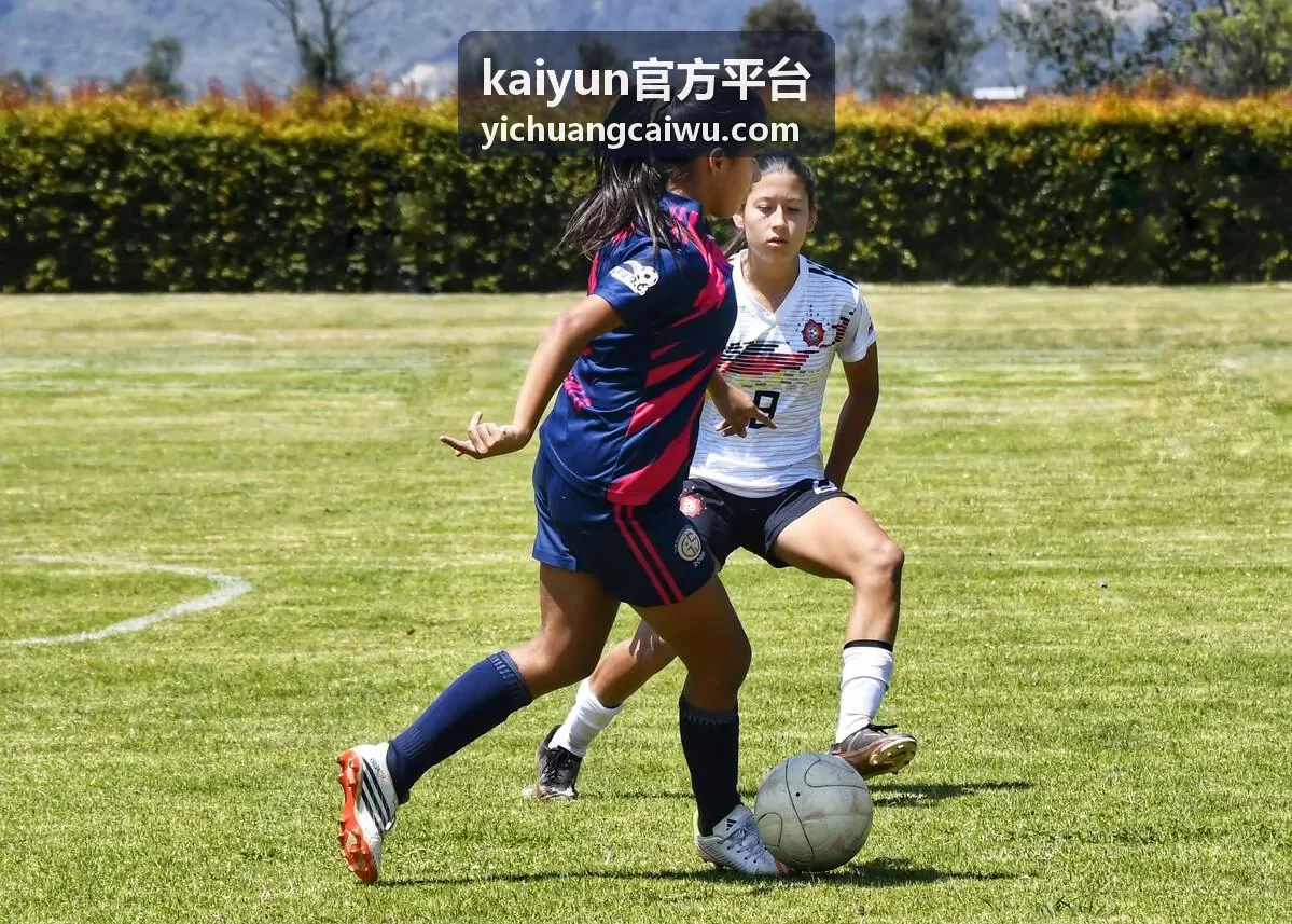 kaiyun官方平台官方入口与接入材料准备