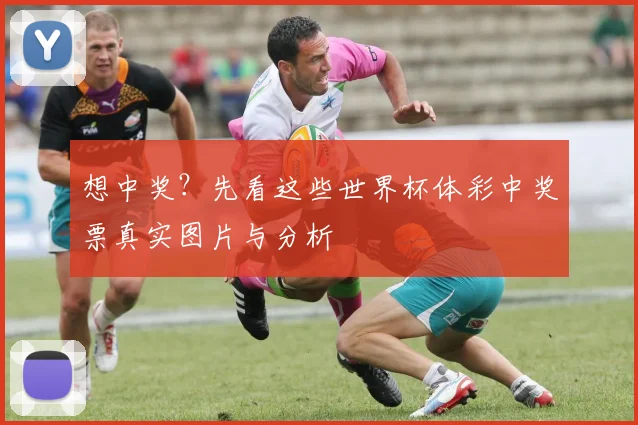 想中奖?先看这些世界杯体彩中奖票真实图片与分析
