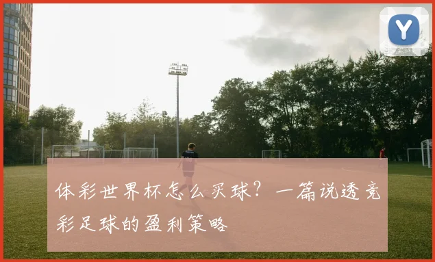 体彩世界杯怎么买球?一篇说透竞彩足球的盈利策略
