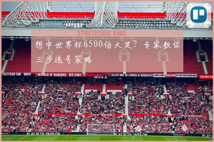 想中世界杯6500倍大奖?专家教你三步选号策略