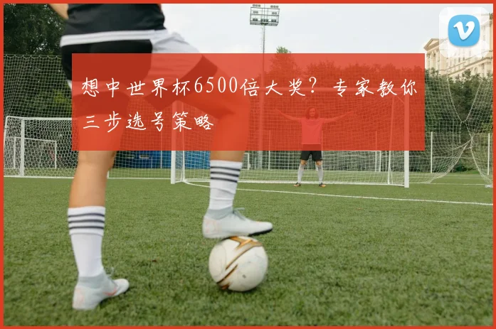 想中世界杯6500倍大奖?专家教你三步选号策略