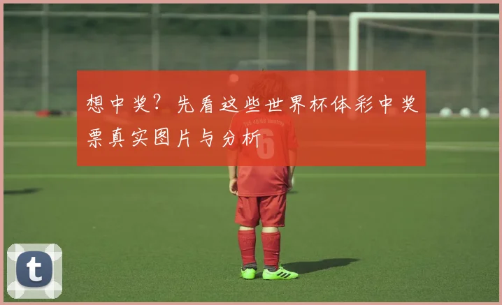 想中奖?先看这些世界杯体彩中奖票真实图片与分析